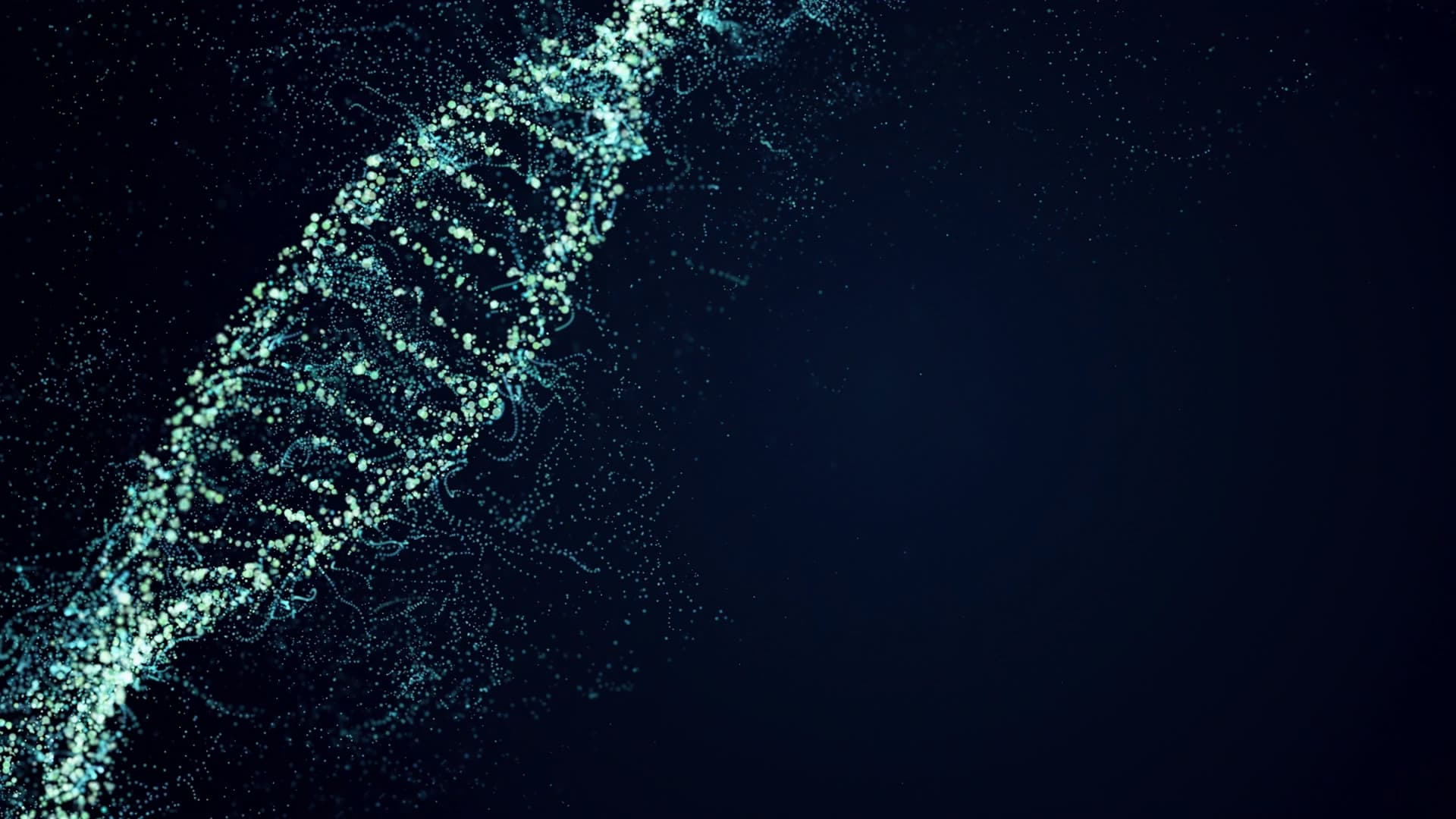 From Cellular Repair to Physical and Mental Health